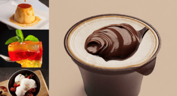 Arla Foods Ingredients introduces high-protein dessert toolkit for South American brands