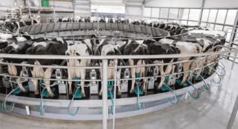 GEA introduces digital milking carousel DairyRotor T8600