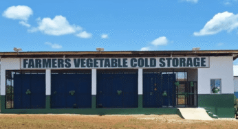 Cold storage brings fresh hope to Liberian farmers