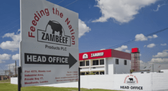 AfDB greenlights US$32M credit guarantee to bolster Zambeef’s expansion plan in Zambia